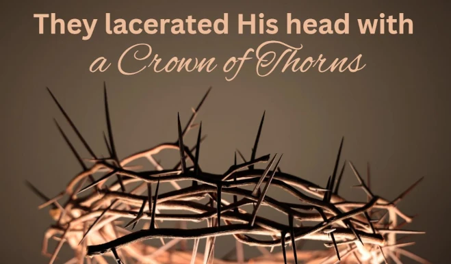 crown of thorns