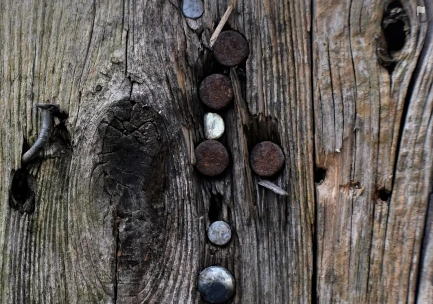 nails in fence